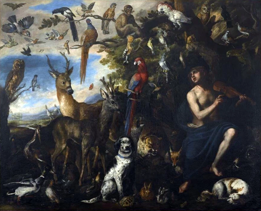 Orfeo che incanta gli animali - con Boel Pieter, musée des beaux, arts et d'archéologie, Besançon